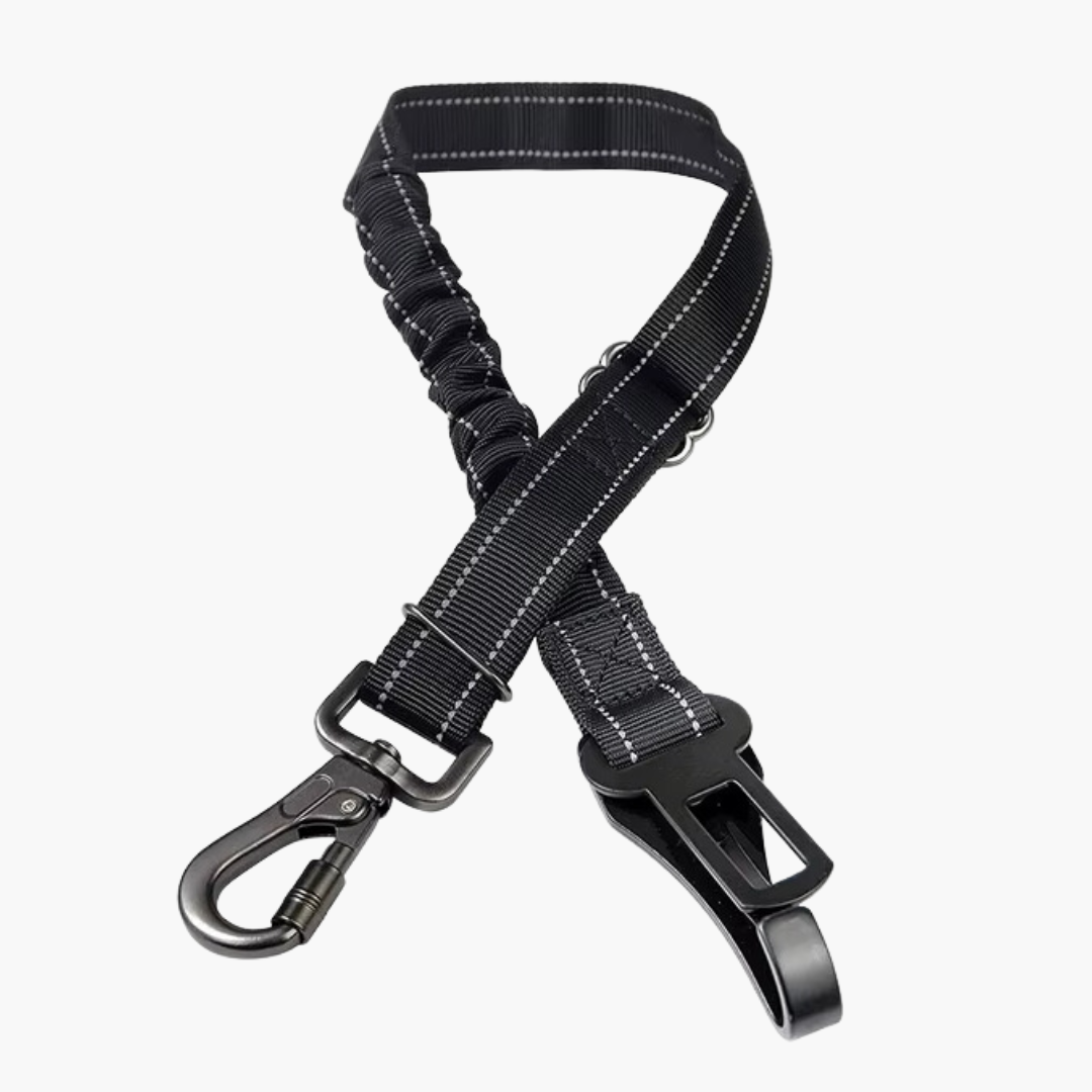 Dog Car Seat Belt
