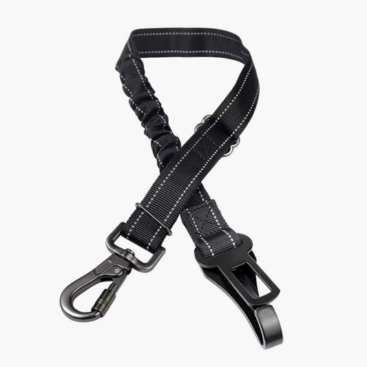 Dog Car Seat Belt